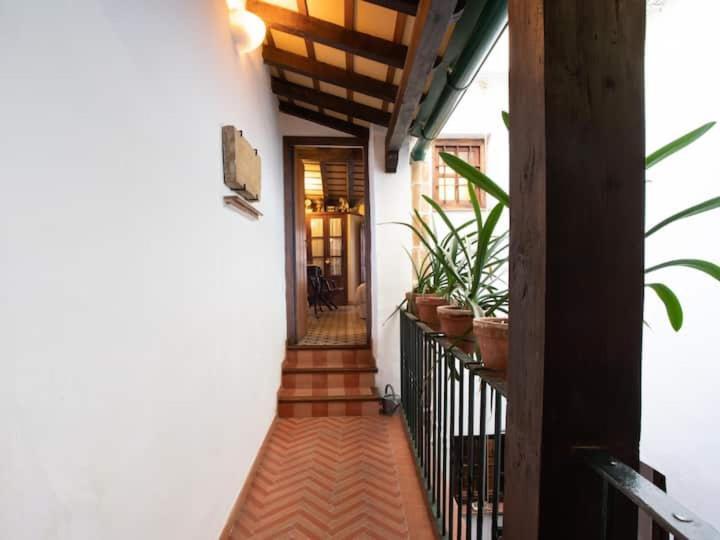 Historic House In The City Center Sevilla Kültér fotó